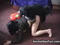 [ Beast Porn ] Trained dog penetrates black-haired housewife in amateur XXX video